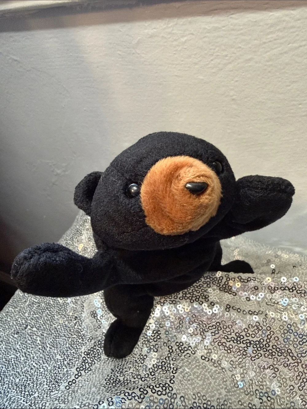 Ty Blackie the Bear Beanie Baby - No Heart Tag